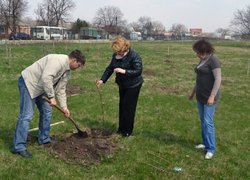 Actions “Clean Environment” and “Plant a Tree”